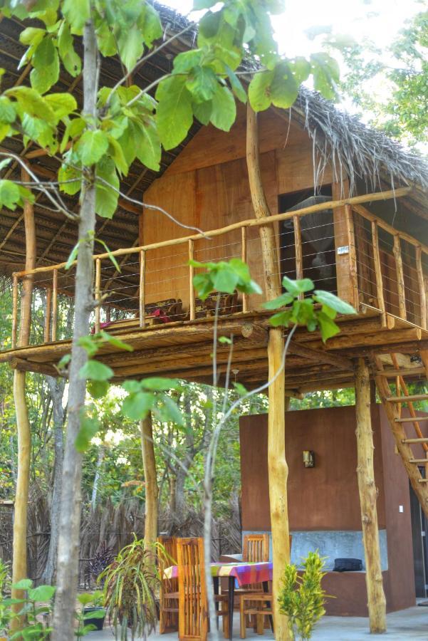 Pidurangala View Treehouse Apartment Sigiriya Luaran gambar