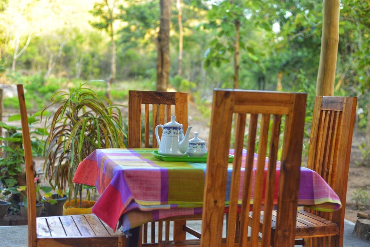 Pidurangala View Treehouse Apartment Sigiriya Luaran gambar