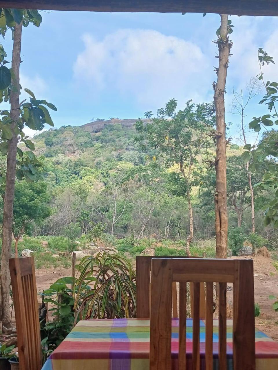 Pidurangala View Treehouse Apartment Sigiriya Luaran gambar