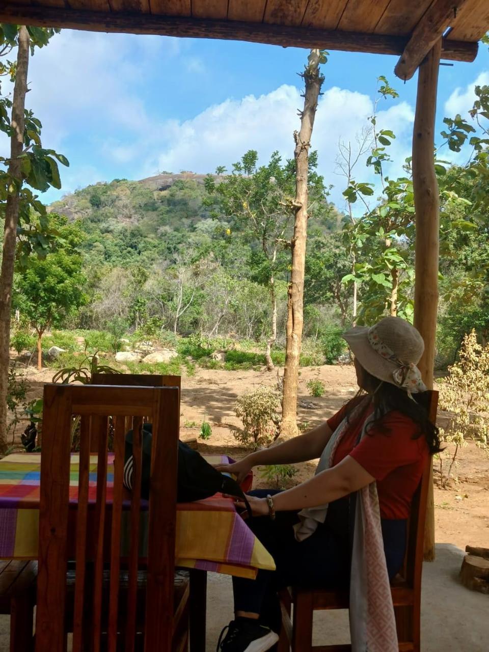 Pidurangala View Treehouse Apartment Sigiriya Luaran gambar
