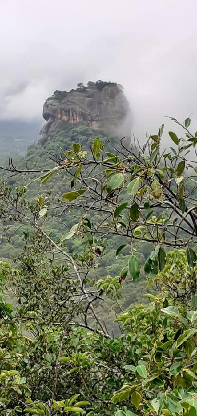 Pidurangala View Treehouse Apartment Sigiriya Luaran gambar