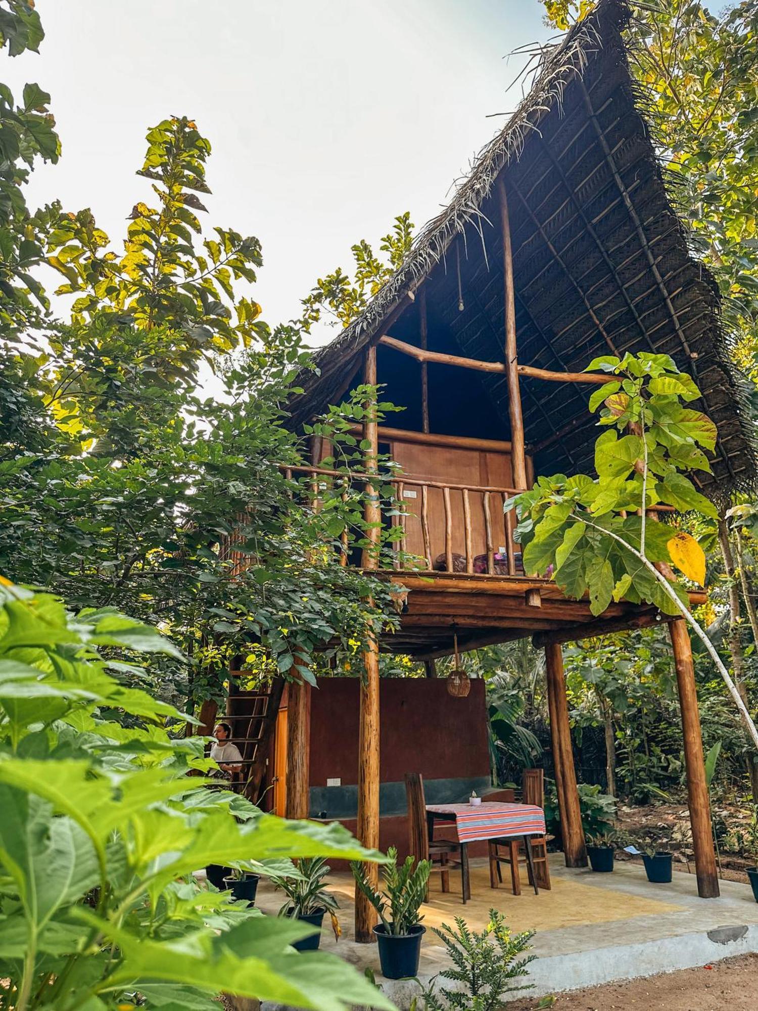 Pidurangala View Treehouse Apartment Sigiriya Luaran gambar