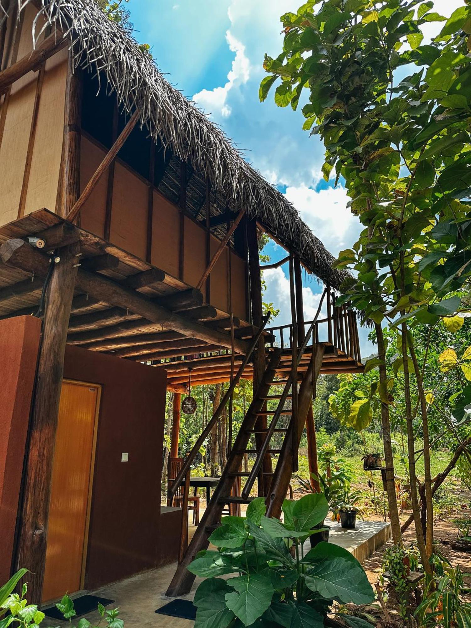 Pidurangala View Treehouse Apartment Sigiriya Luaran gambar