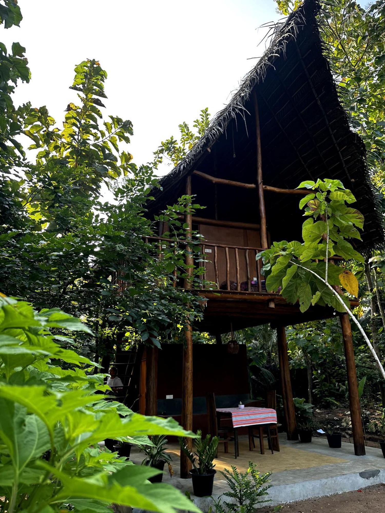 Pidurangala View Treehouse Apartment Sigiriya Luaran gambar