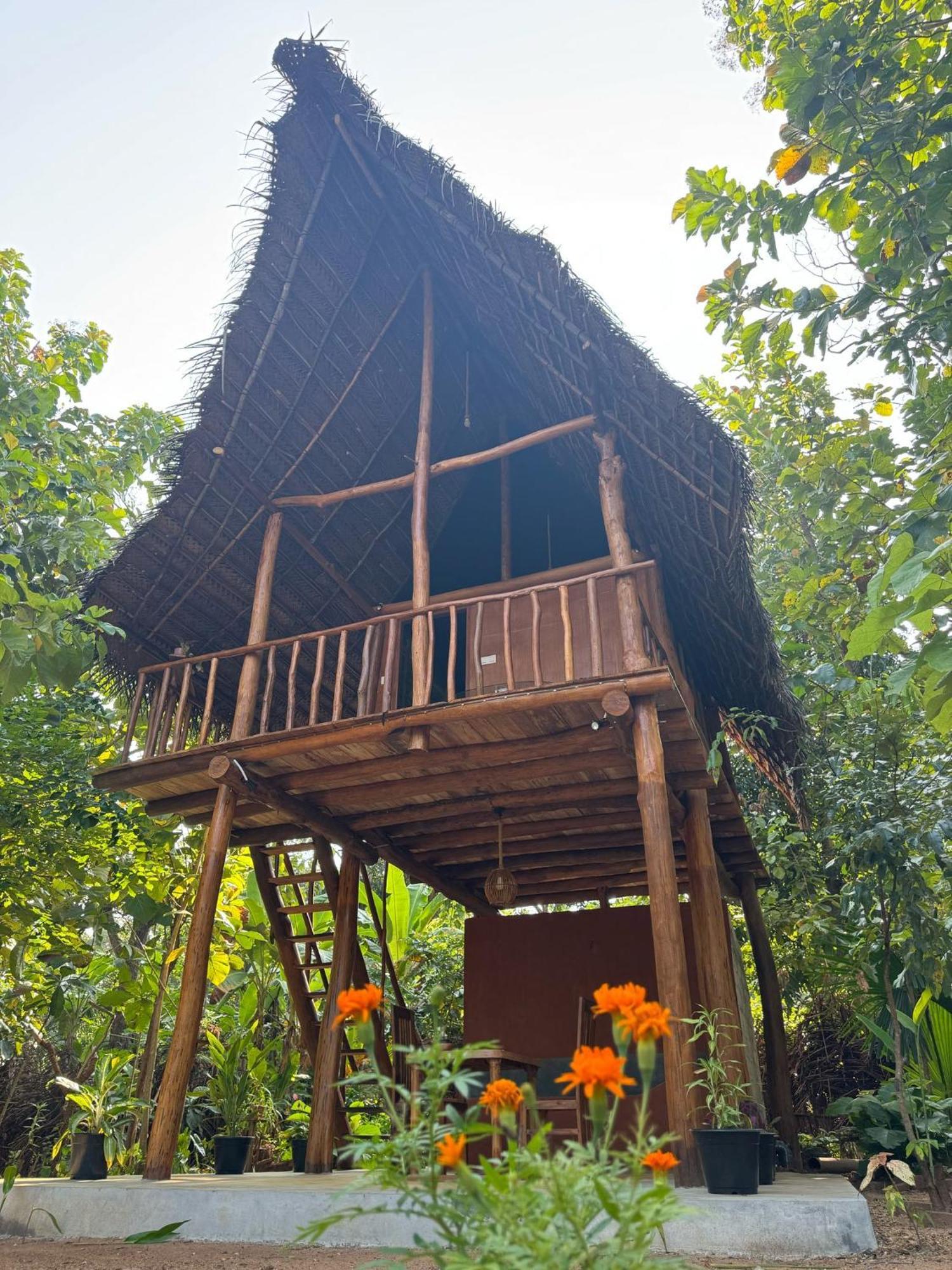 Pidurangala View Treehouse Apartment Sigiriya Luaran gambar