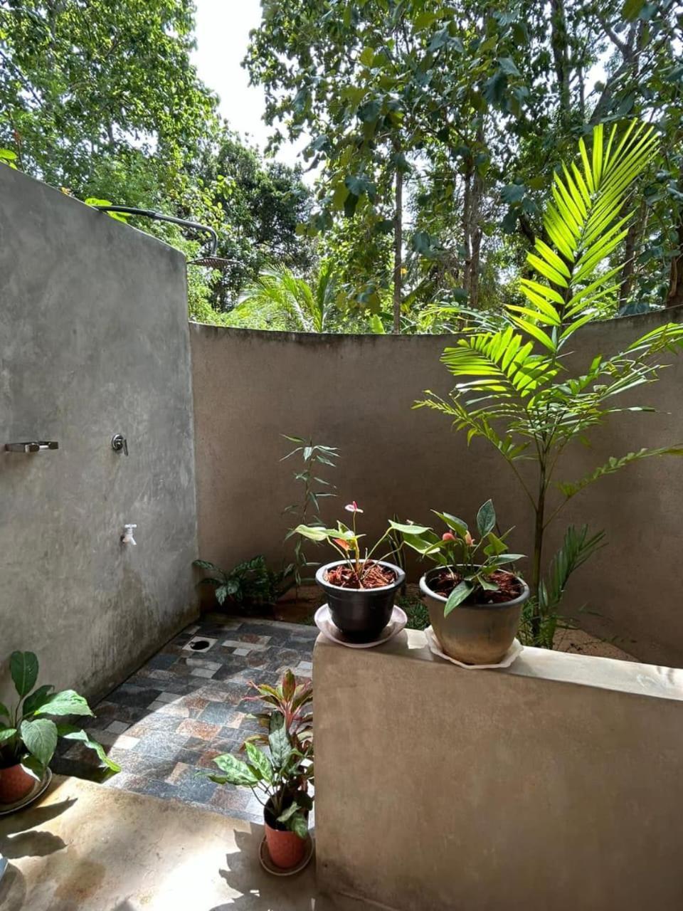 Pidurangala View Treehouse Apartment Sigiriya Luaran gambar