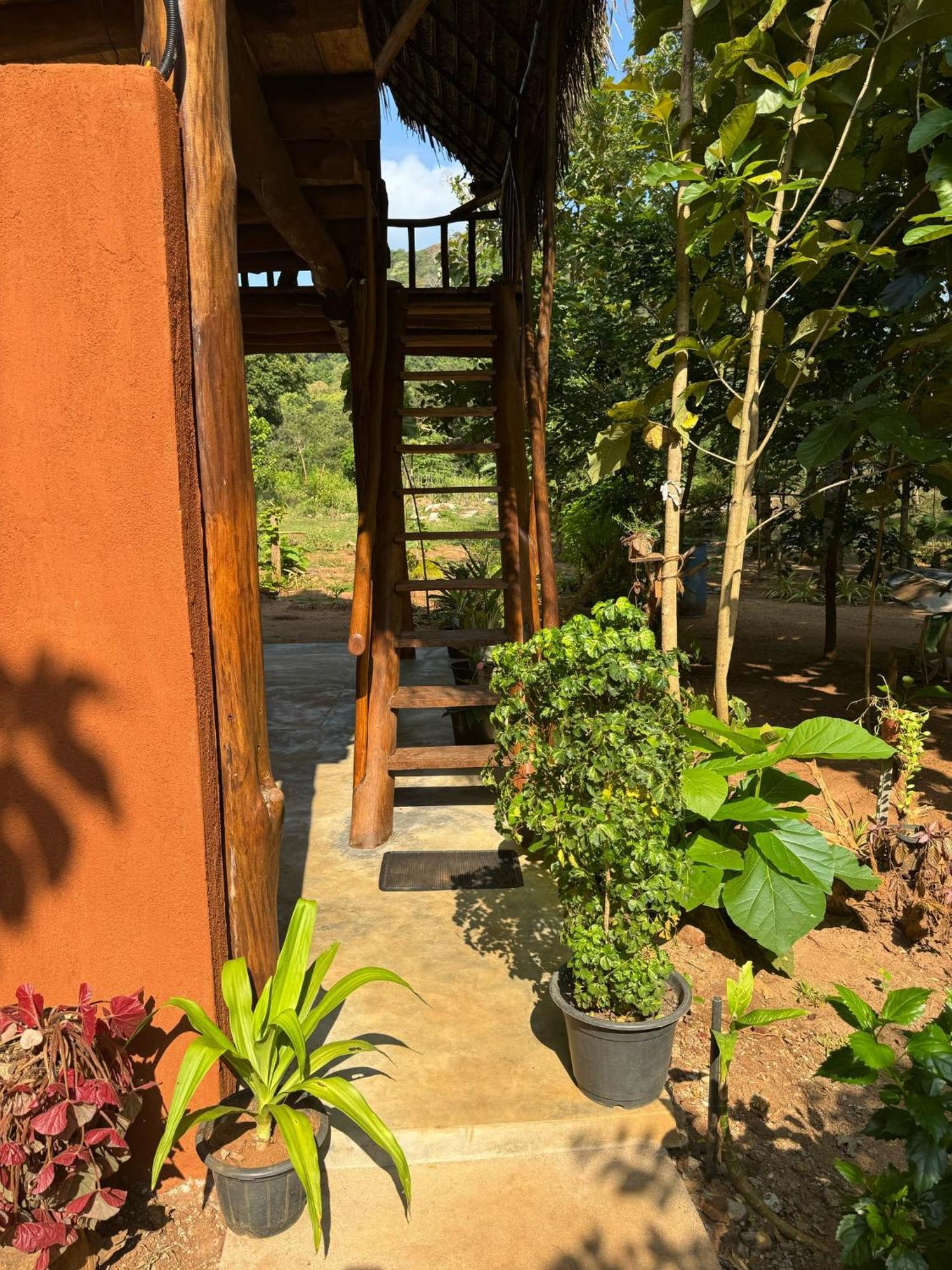 Pidurangala View Treehouse Apartment Sigiriya Luaran gambar